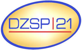 DZSP 21, LLC