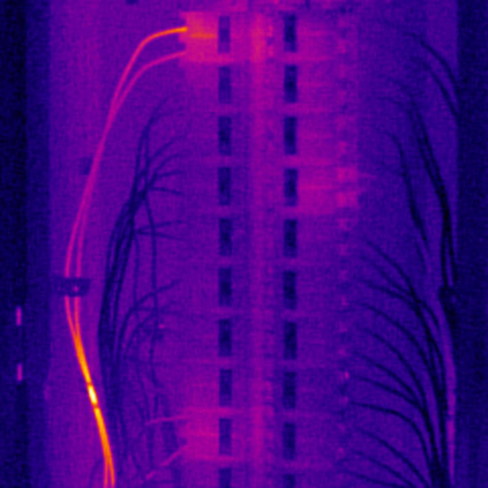 Thermographic Survey - Picture