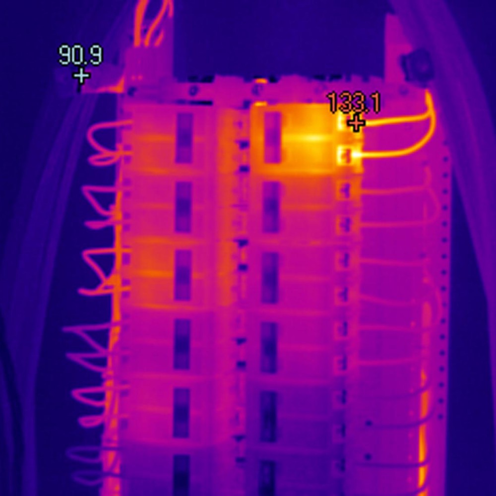 Thermographic Survey - Picture