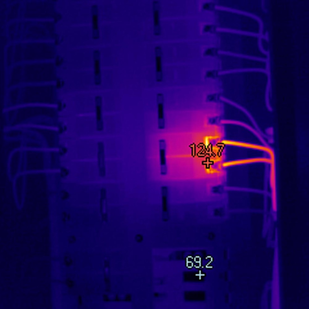 Thermographic Survey - Picture